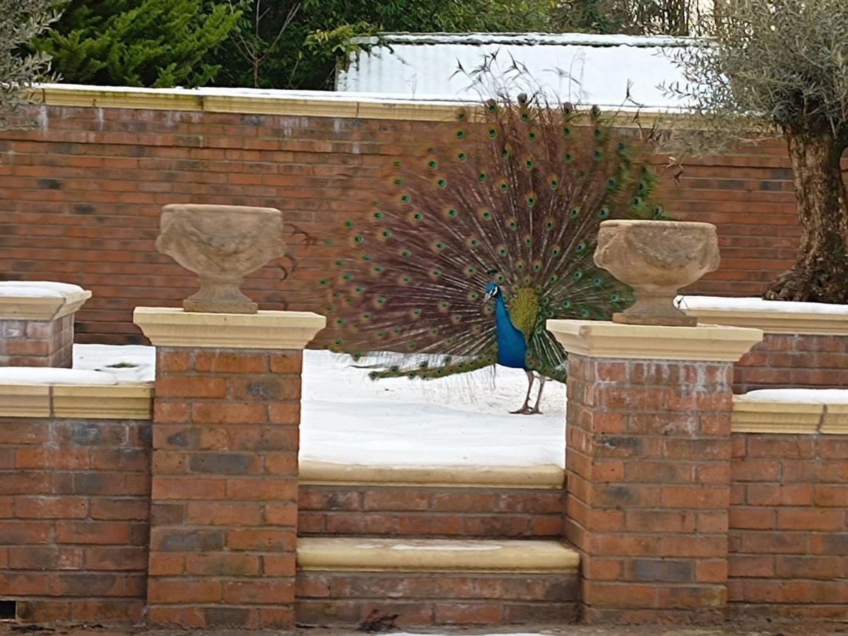 The West Wing At Eriviat Hall Hot Tub Henllan  Exterior foto